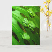 アマガエルの挨拶状 カード (黄色い花)