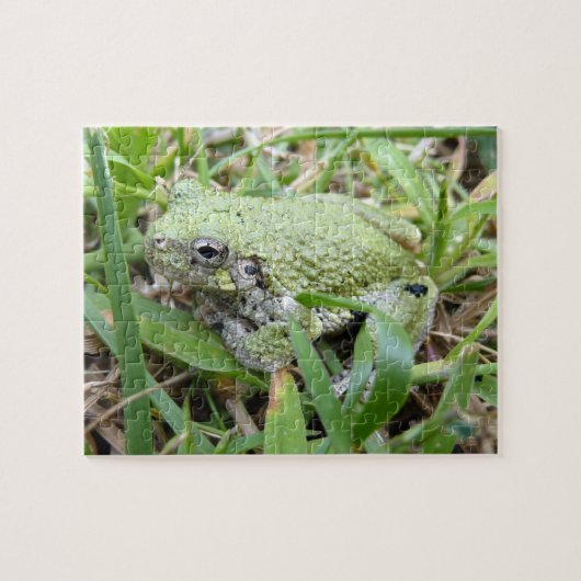 アマガエル自然写真 ジグソーパズル (横)