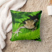 アマガエル クッション (ブランケット)