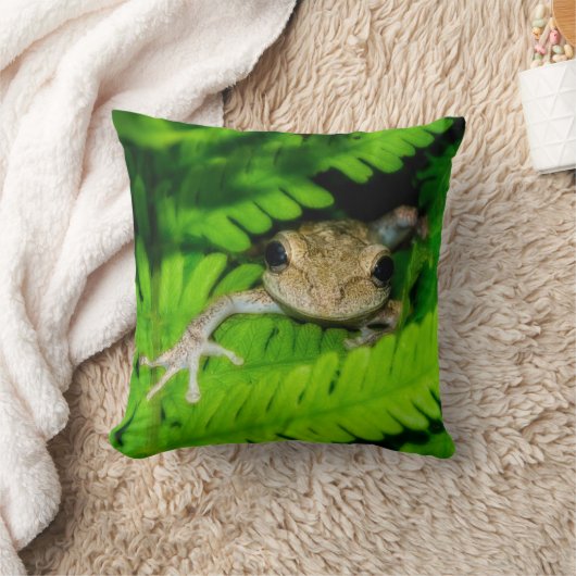 アマガエル クッション (ブランケット)