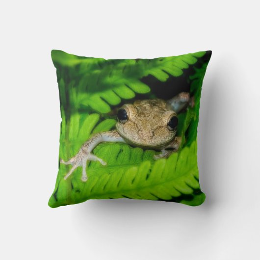 アマガエル クッション (裏面)