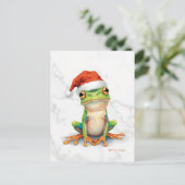 アマガエル クリスマス (スタンド正面)