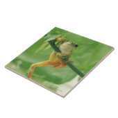 アマガエル タイル (側面)