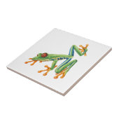 アマガエル タイル (側面)