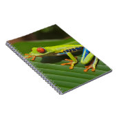 アマガエル ノートブック (右側)