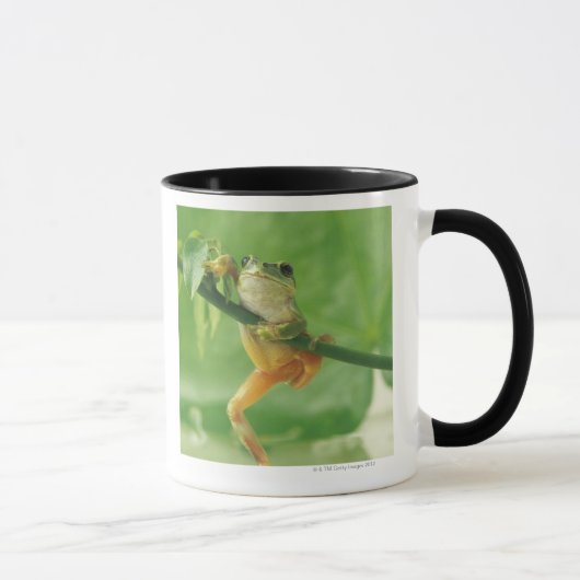 アマガエル マグカップ (右)