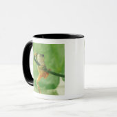 アマガエル マグカップ (正面左)