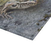 アマガエル, 透明の島, カッティングボード (角)