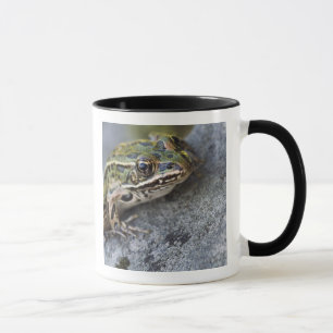 アマガエル, 透明の島, マグカップ