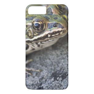 アマガエル, 透明の島、 iPhone 8 PLUS/7 PLUSケース