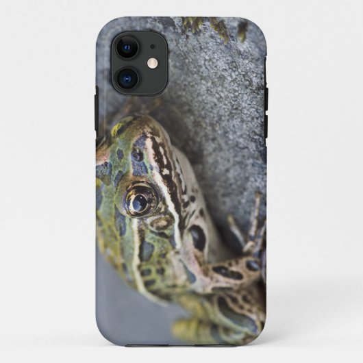 アマガエル, 透明の島, Case-Mate iPhoneケース (裏面)