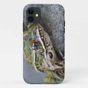 アマガエル, 透明の島, iPhone 11 ケース