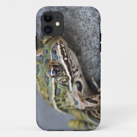 アマガエル, 透明の島, Case-Mate iPhoneケース (裏面)