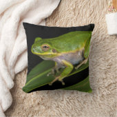 アマガエル (Hyla cinerea) 2 クッション (ブランケット)