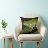 アマガエル (Hyla cinerea) 2 クッション (椅子)