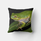 アマガエル (Hyla cinerea) 2 クッション (裏面)