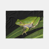 アマガエル (Hyla cinerea) 2 フリースブランケット (正面(横))