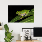 アマガエル (Hyla cinerea) 2 ポスター (ホームオフィス)