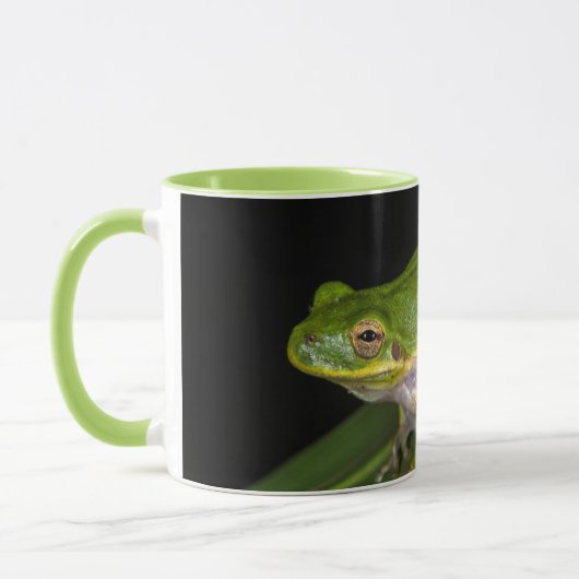 アマガエル (Hyla cinerea) 2 マグカップ (左)