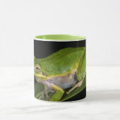 アマガエル (Hyla cinerea) 2 マグカップ (中央)