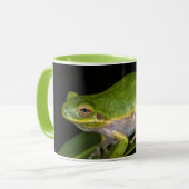 アマガエル (Hyla cinerea) 2 マグカップ (正面左)
