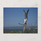 アマギ Postcard ポストカード (正面)