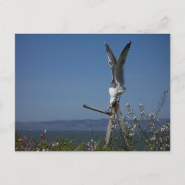 アマギ Postcard ポストカード