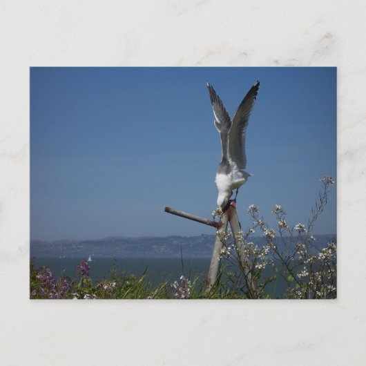 アマギ Postcard ポストカード (正面)