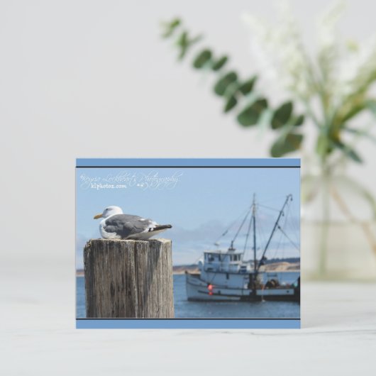 アマクサギ ポストカード (スタンド正面)