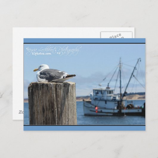 アマクサギ ポストカード (正面/裏面)