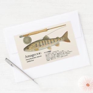 アマゴ (Oncorhynchus masou ishikawae) – 日本 長方形シール