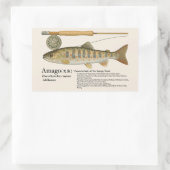 アマゴ (Oncorhynchus masou ishikawae) – English 長方形シール (バッグ)