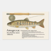 アマゴ (Oncorhynchus masou ishikawae) – English 長方形シール (正面)