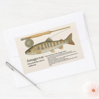 アマゴ (Oncorhynchus masou ishikawae) – English 長方形シール