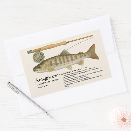 アマゴ (Oncorhynchus masou ishikawae) – English 長方形シール (封筒)