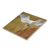 アマサギ（Bubulcus Ibis）の降下 タイル (側面)