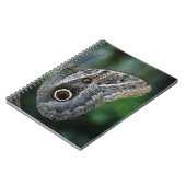 アマジング カリゴ エウリロクス 蝶 ノートブック (左側)
