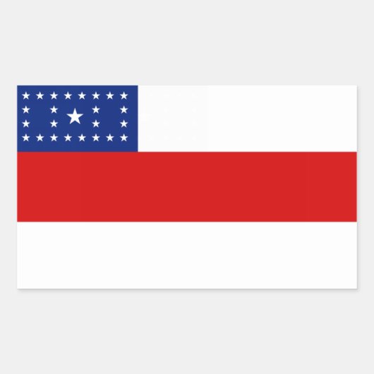 アマゾナス、ブラジル国旗のシール 長方形シール (正面)