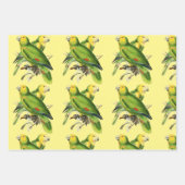 アマゾナパロッツ – ヴィンテージ鳥 ラッピングペーパーシート (正面3)