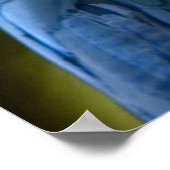 アマゾニアパロットポートレート ポスター (角)