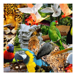 アマゾニア フォトプリント           