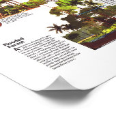 「アマゾニア: 1992年リスクマップの世界資源… ポスター (角)