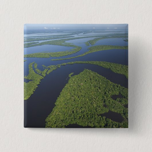 アマゾンのアナヴィルハナス諸島の航空写真、洪水 缶バッジ (正面)
