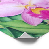 アマゾンのブラジルのトゥーカン ポスター (角)