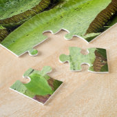 アマゾンの大スイレン、ヴィトリア·レジス ジグソーパズル (側面)