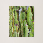 アマゾンの大スイレン、ヴィトリア·レジス ジグソーパズル (縦)