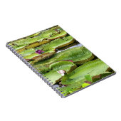 アマゾンの大スイレン、ヴィトリア·レジス ノートブック (右側)