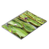 アマゾンの大スイレン、ヴィトリア·レジス ノートブック (左側)