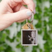 アマゾンの姿 キーホルダー (手)