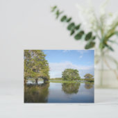 アマゾンの熱帯雨林。 ポストカード (スタンド正面)